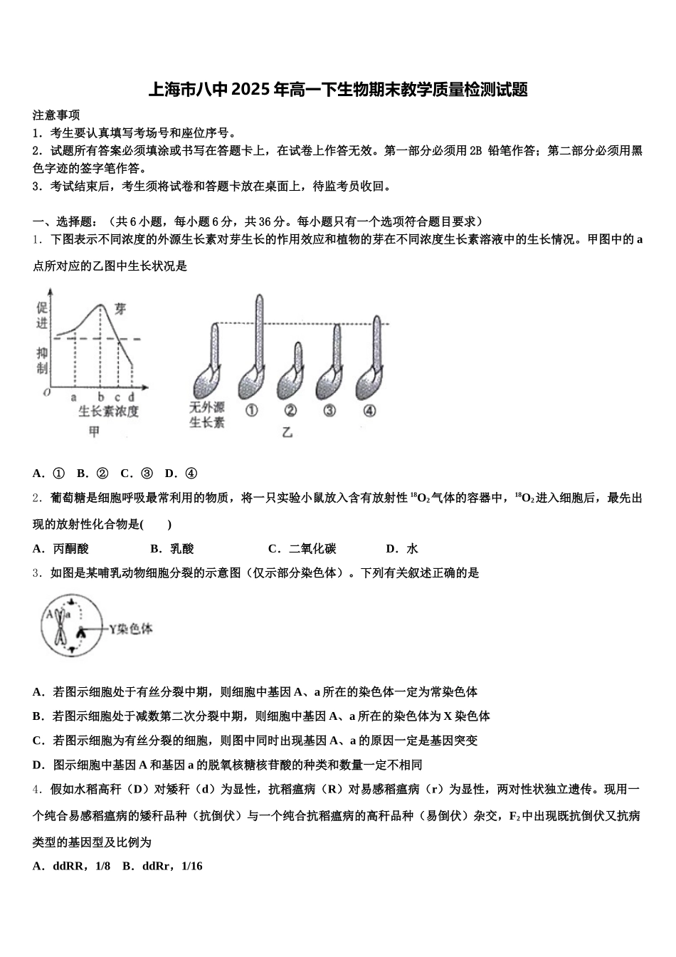 上海市八中2025年高一下生物期末教学质量检测试题含解析_第1页