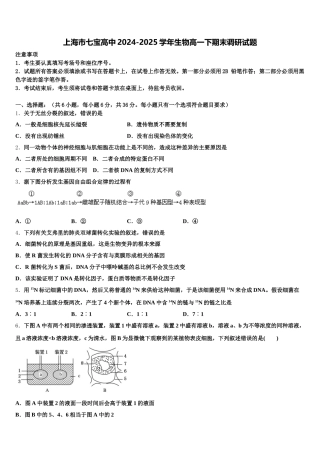 上海市七宝高中2024-2025学年生物高一下期末调研试题含解析
