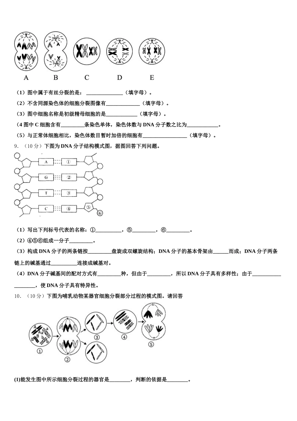 2025届上海市宝山区行知实验高一生物第二学期期末综合测试试题含解析_第3页