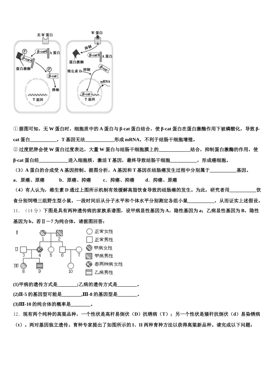 上海市卢湾高中2025届高一下生物期末达标测试试题含解析_第3页