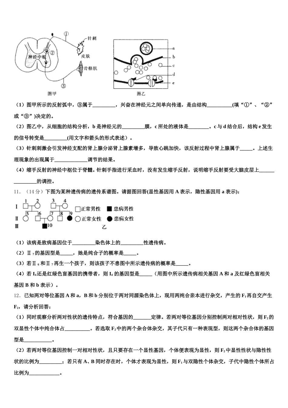 上海市十三校2024-2025学年生物高一下期末复习检测模拟试题含解析_第3页