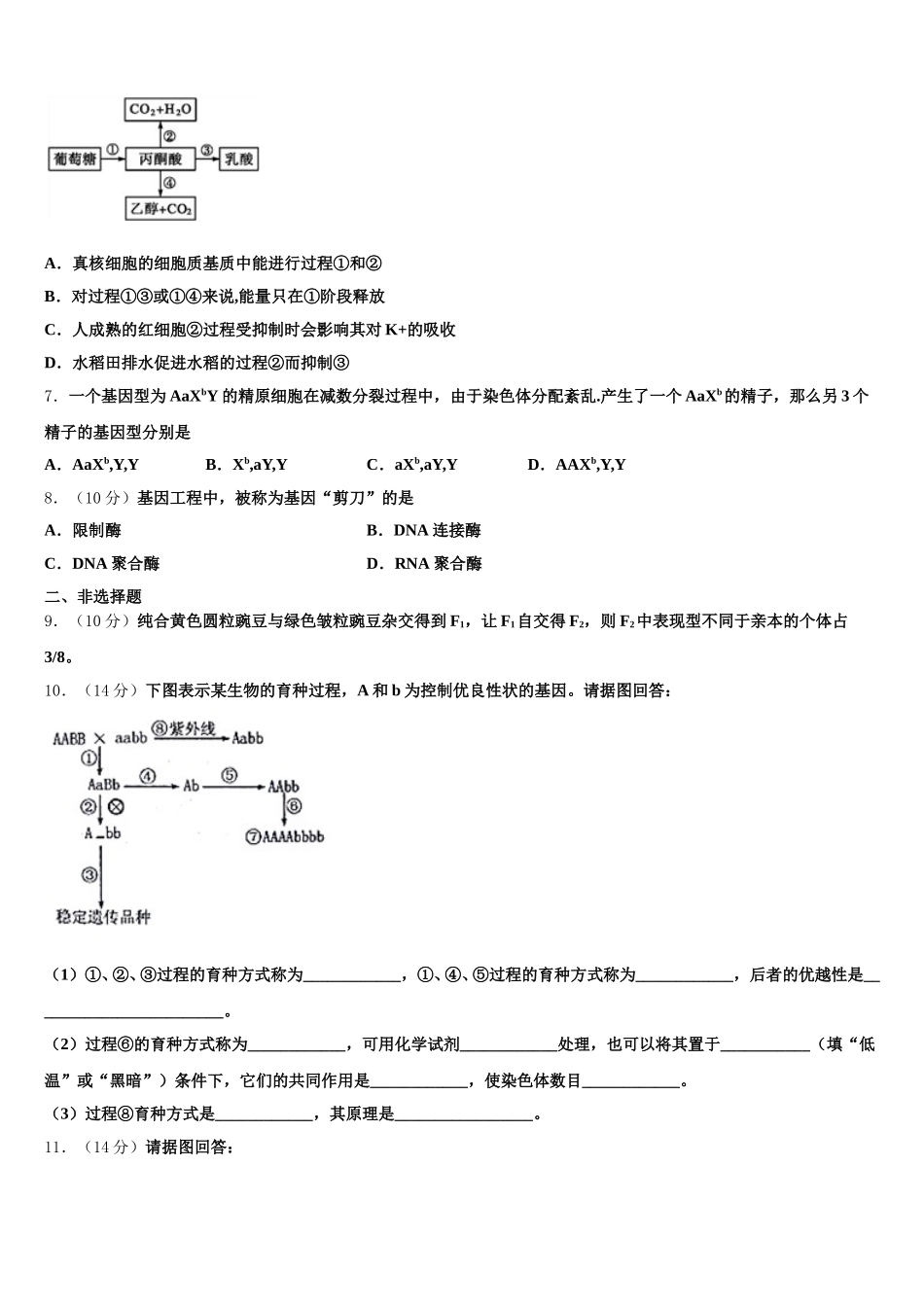 2024-2025学年吴淞中学生物高一第二学期期末调研试题含解析_第2页