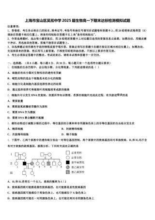 上海市宝山区吴淞中学2025届生物高一下期末达标检测模拟试题含解析