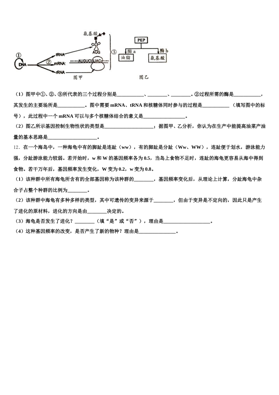 2025年上海市戏剧学院附属中学高一生物第二学期期末质量检测试题含解析_第3页