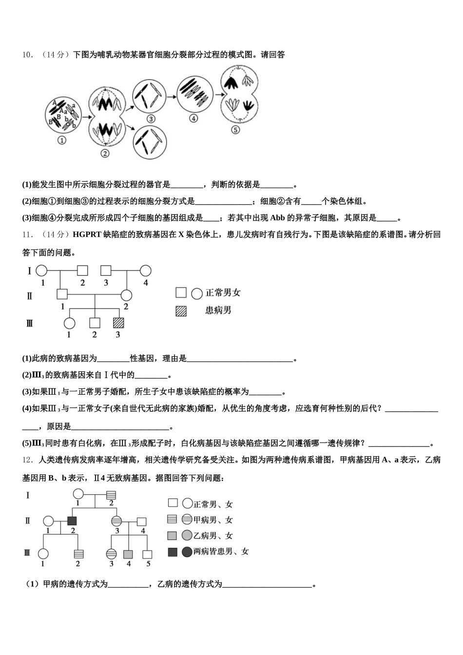 2025年上海市东实验学校生物高一下期末综合测试模拟试题含解析_第3页