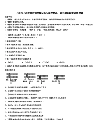 上海市上海大学附属中学2025届生物高一第二学期期末调研试题含解析