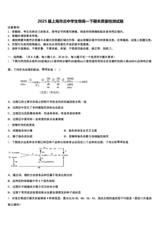 2025届上海市北中学生物高一下期末质量检测试题含解析