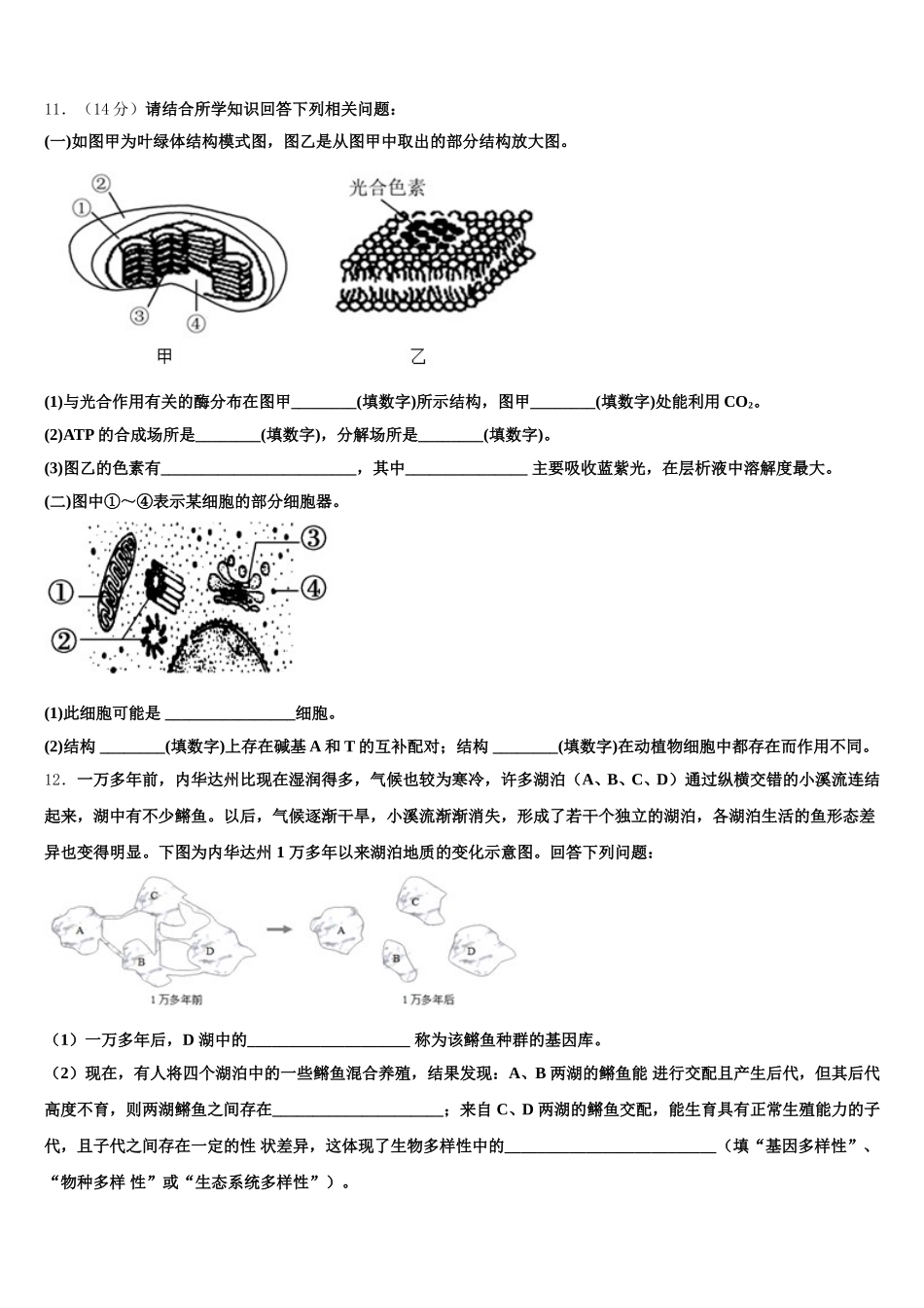 上海市新中高级中学2025年生物高一下期末检测试题含解析_第3页