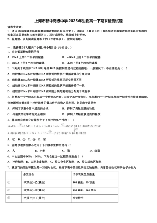 上海市新中高级中学2025年生物高一下期末检测试题含解析