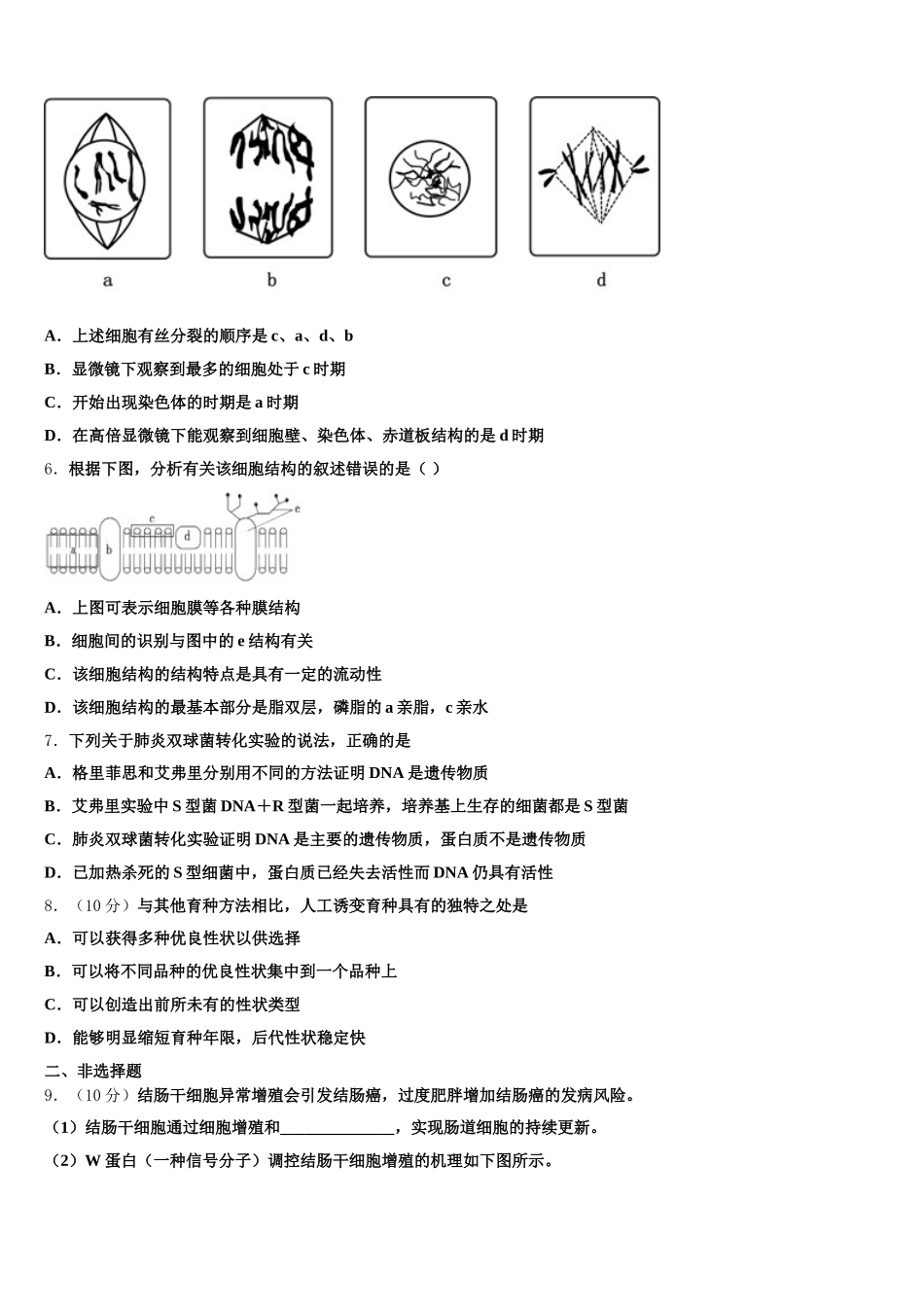 2024-2025学年上海黄浦区生物高一下期末教学质量检测试题含解析_第2页