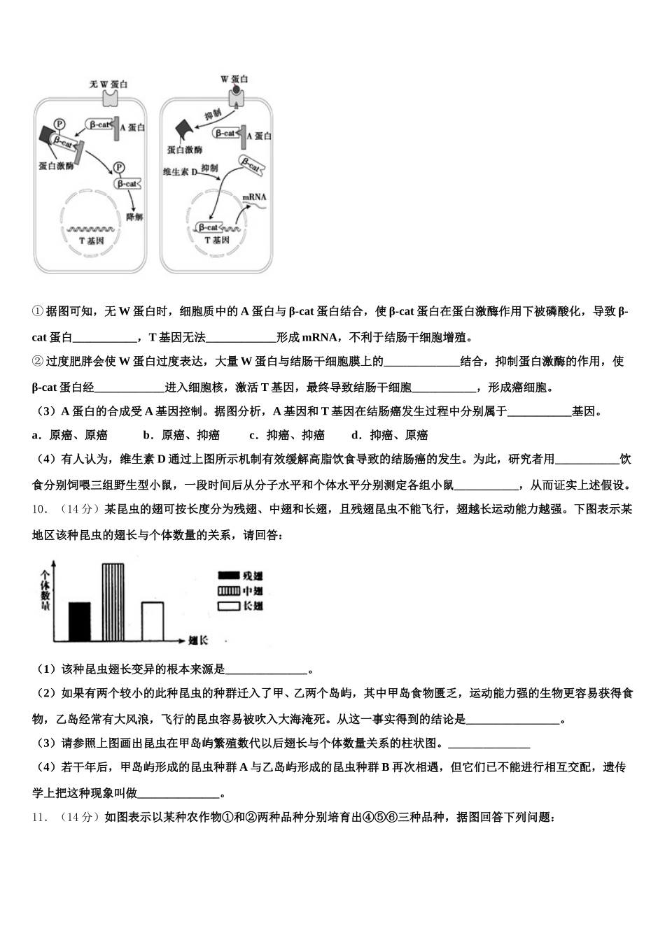 2024-2025学年上海黄浦区生物高一下期末教学质量检测试题含解析_第3页