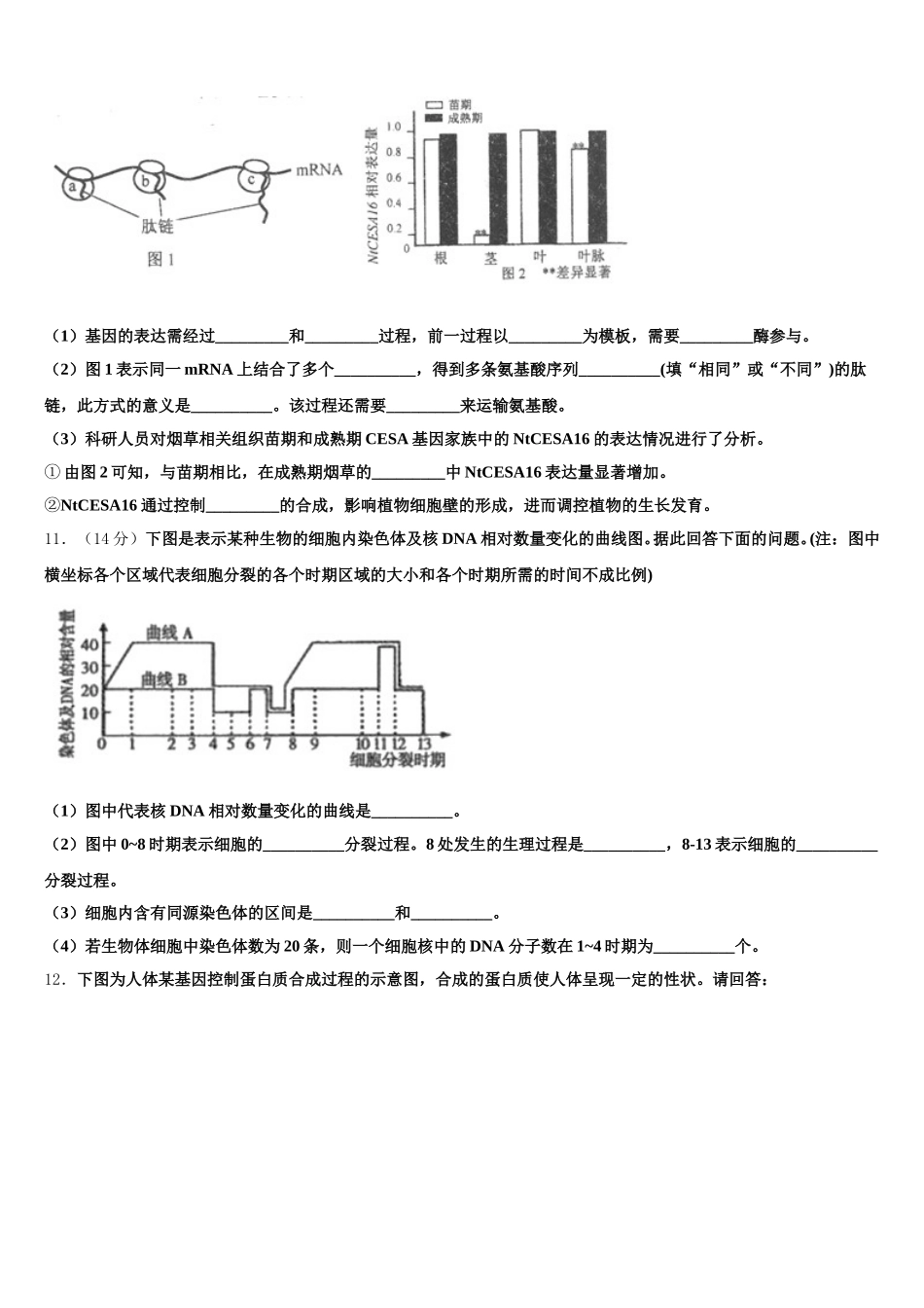 2024-2025学年上海嘉定区外国语学校高一生物第二学期期末预测试题含解析_第3页