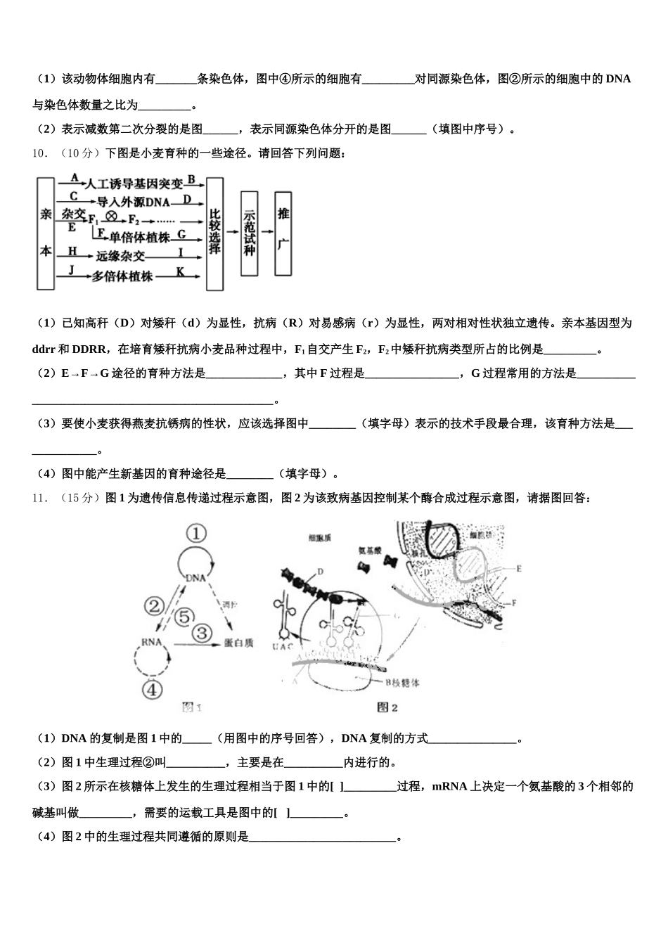 2024-2025学年上海市虹口区上海外国语大学附属外国语学校高一下生物期末考试试题含解析_第3页