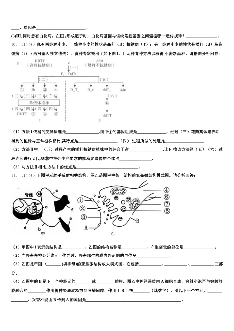 上海市静安区新中高级中学2025届生物高一下期末复习检测模拟试题含解析_第3页