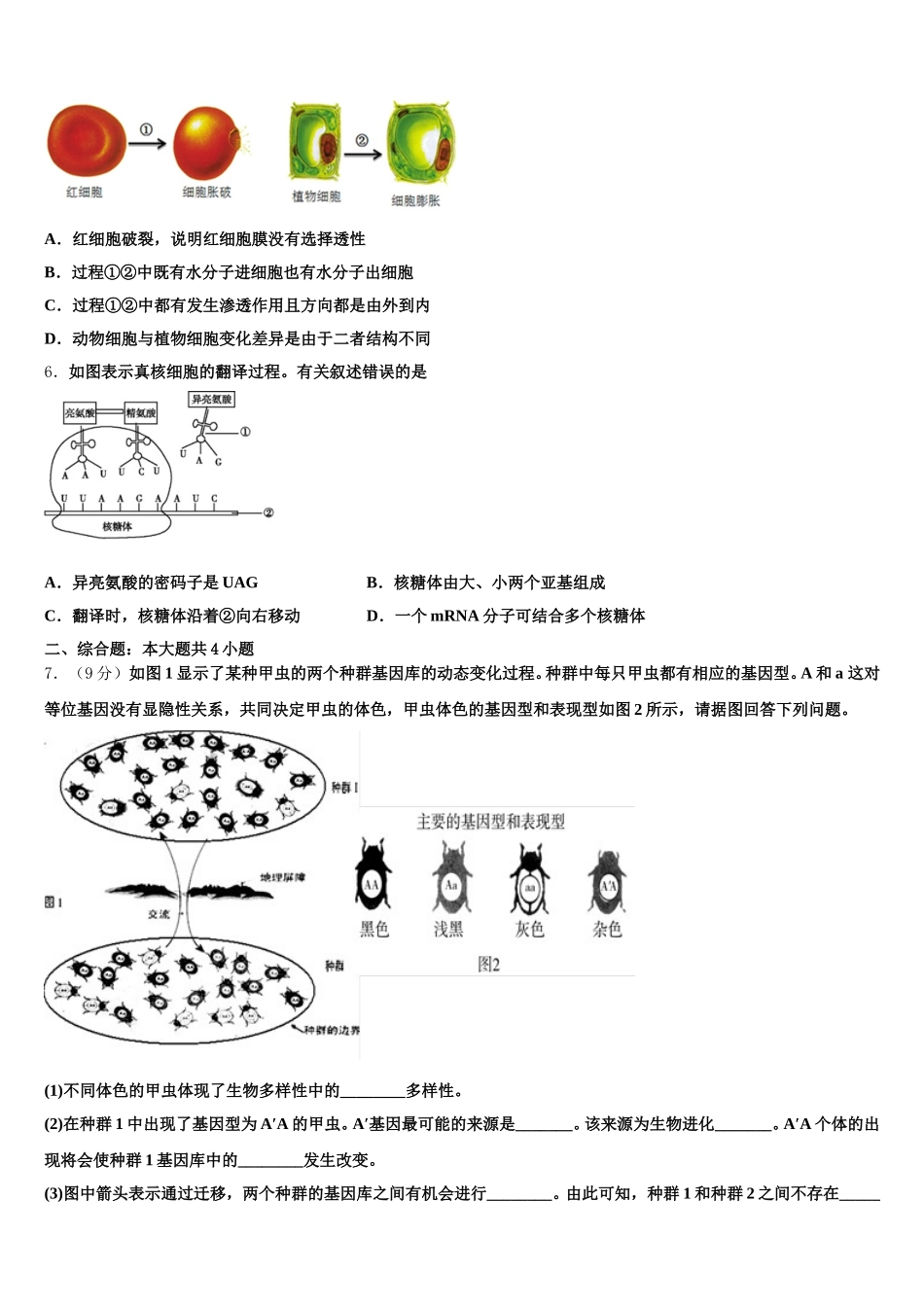 2025届上海市宝山区扬波中学高一生物第二学期期末复习检测模拟试题含解析_第2页