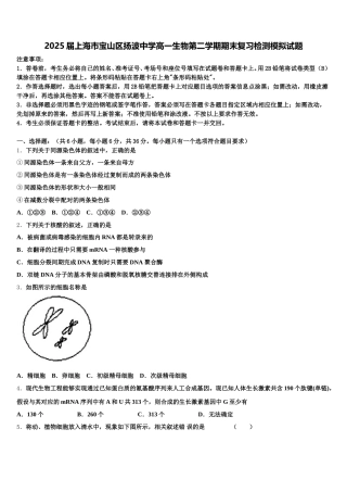 2025届上海市宝山区扬波中学高一生物第二学期期末复习检测模拟试题含解析