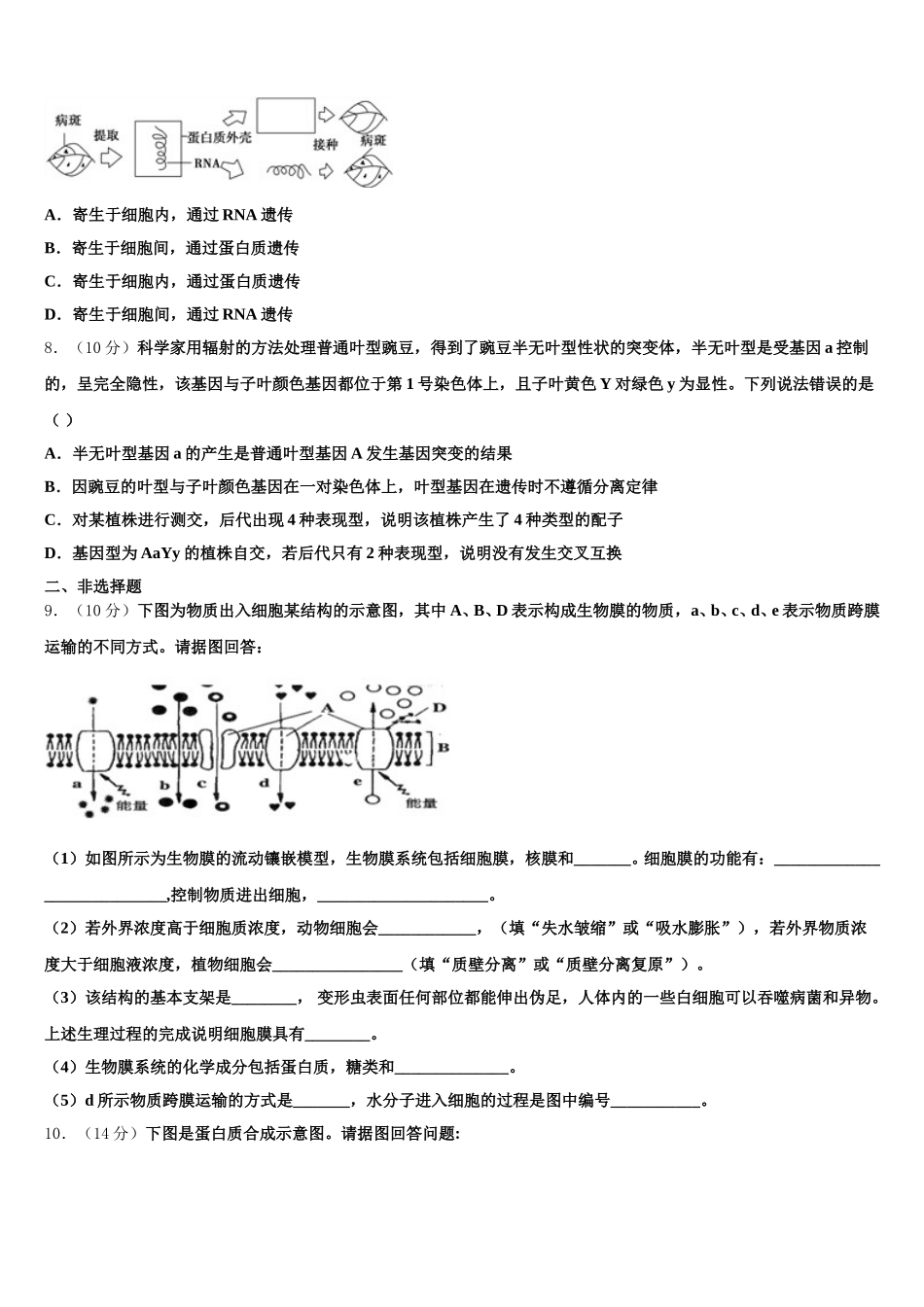 上海市长宁区市级名校2024-2025学年生物高一下期末检测模拟试题含解析_第2页