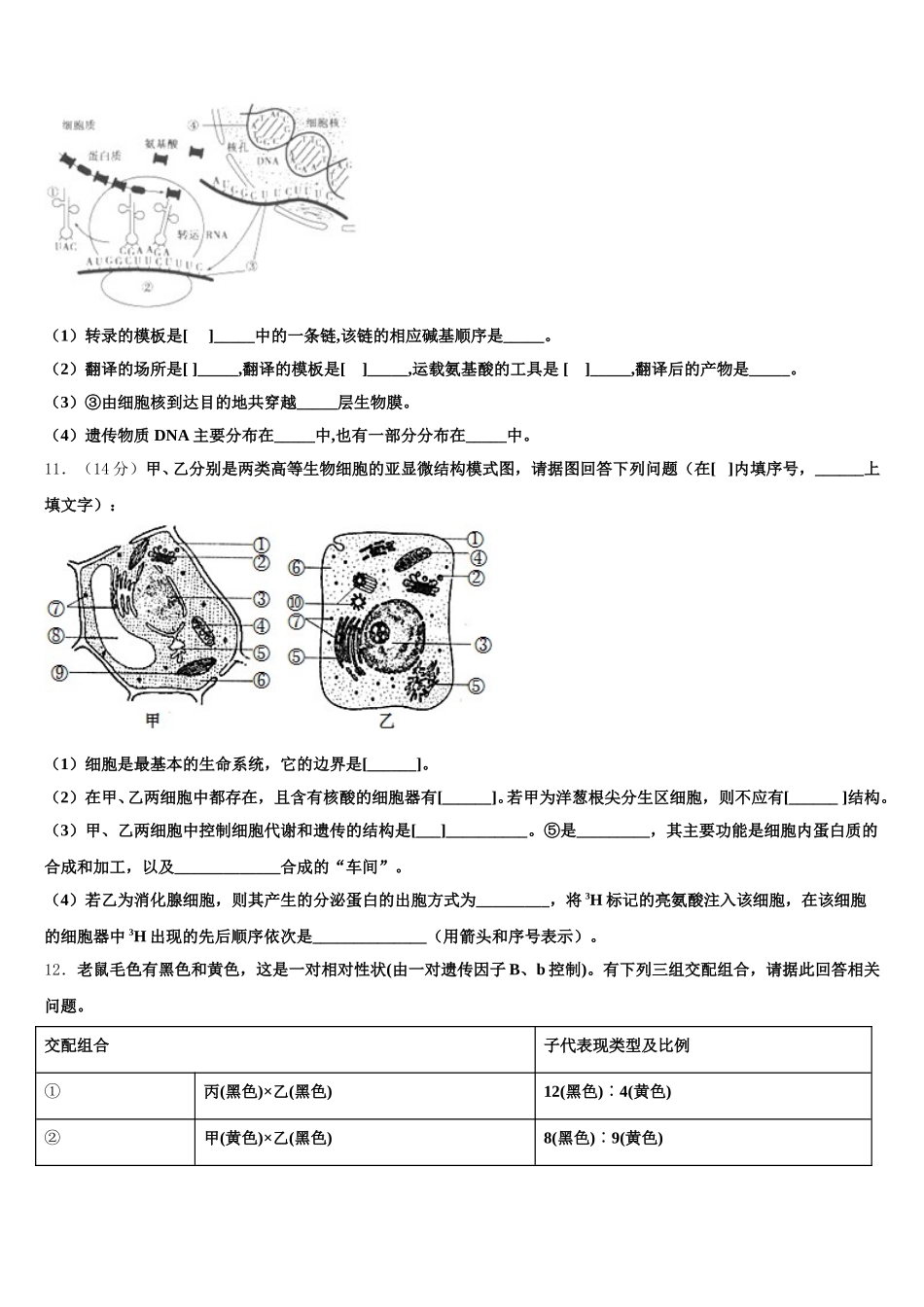 上海市长宁区市级名校2024-2025学年生物高一下期末检测模拟试题含解析_第3页