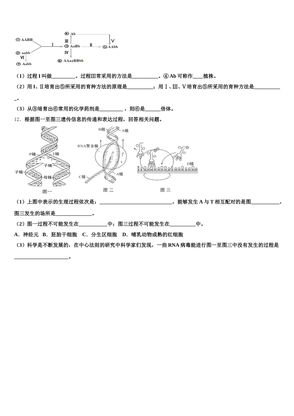 上海市金山区市级名校2025届生物高一下期末学业水平测试模拟试题含解析_第3页