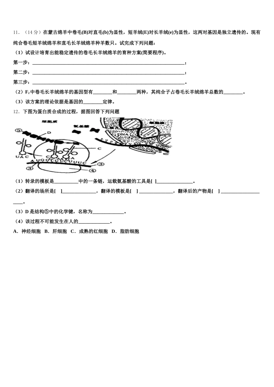 上海市嘉定二中2025年高一生物第二学期期末联考模拟试题含解析_第3页