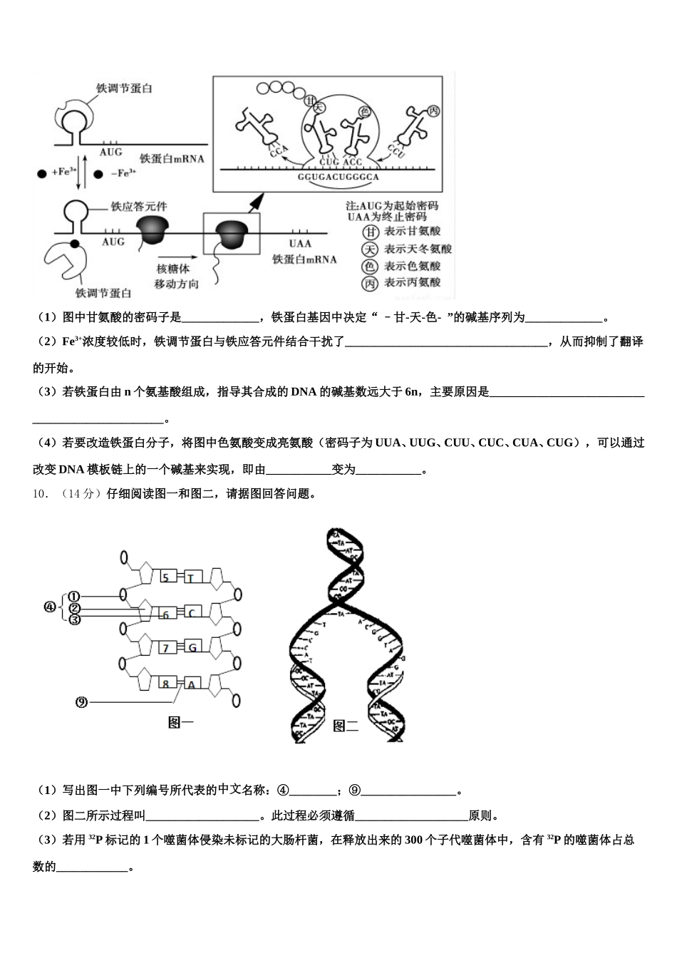交通大学附属中学2025年高一下生物期末复习检测试题含解析_第3页