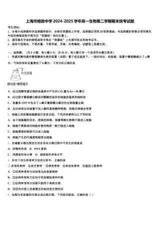 上海市格致中学2024-2025学年高一生物第二学期期末统考试题含解析