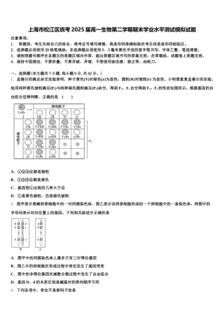 上海市松江区统考2025届高一生物第二学期期末学业水平测试模拟试题含解析
