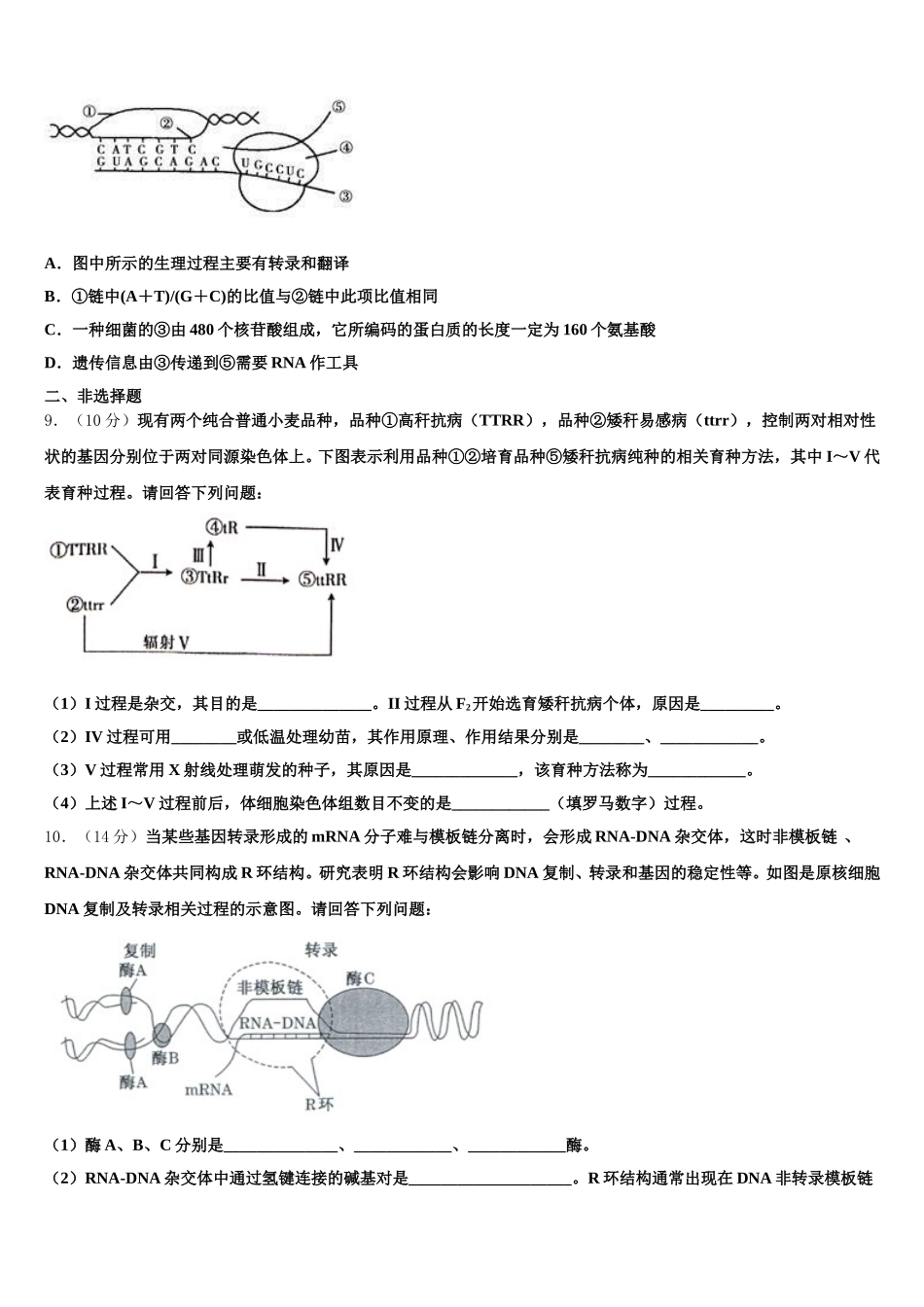 2025年上海市上海理工大学附属中学高一生物第二学期期末调研模拟试题含解析_第3页