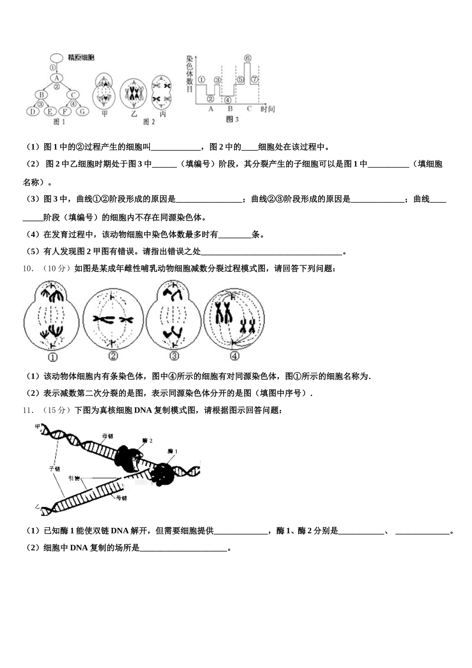 2025年上海市宝山区罗店中学高一生物第二学期期末质量跟踪监视模拟试题含解析_第3页