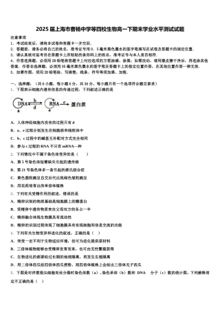2025届上海市曹杨中学等四校生物高一下期末学业水平测试试题含解析