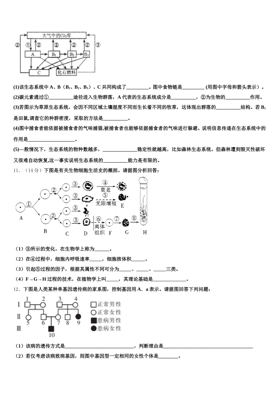 上海市进才实验中学2024-2025学年高一生物第二学期期末达标检测模拟试题含解析_第3页