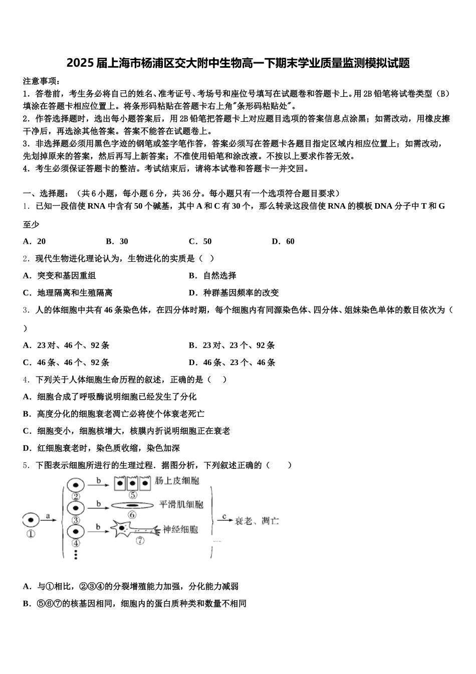 2025届上海市杨浦区交大附中生物高一下期末学业质量监测模拟试题含解析_第1页