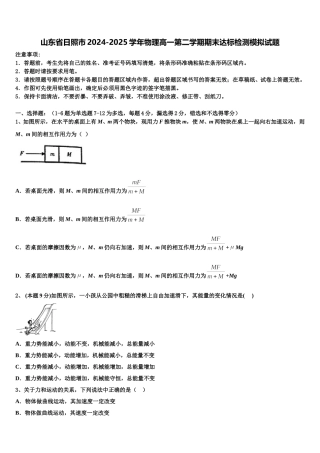 山东省日照市2024-2025学年物理高一第二学期期末达标检测模拟试题含解析