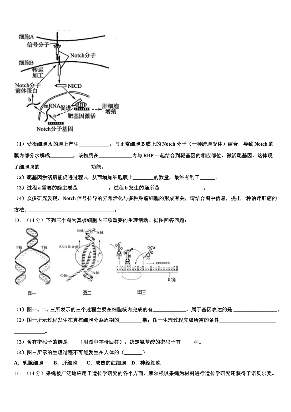 2025年四川省名校生物高一第二学期期末学业质量监测模拟试题含解析_第3页
