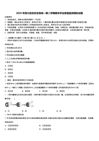 2025年四川省名校生物高一第二学期期末学业质量监测模拟试题含解析