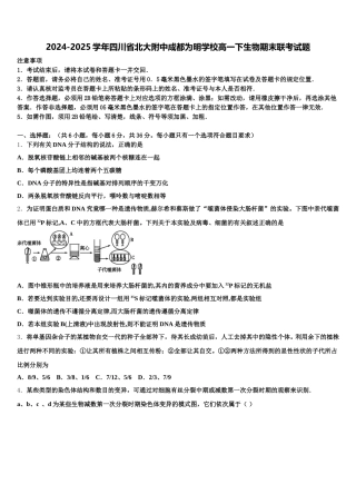 2024-2025学年四川省北大附中成都为明学校高一下生物期末联考试题含解析