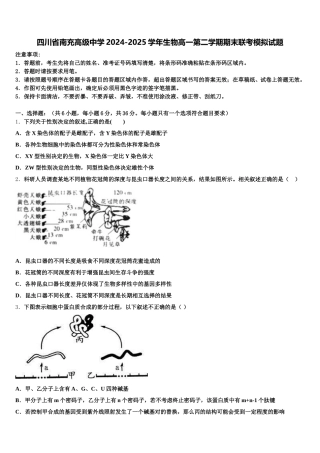 四川省南充高级中学2024-2025学年生物高一第二学期期末联考模拟试题含解析