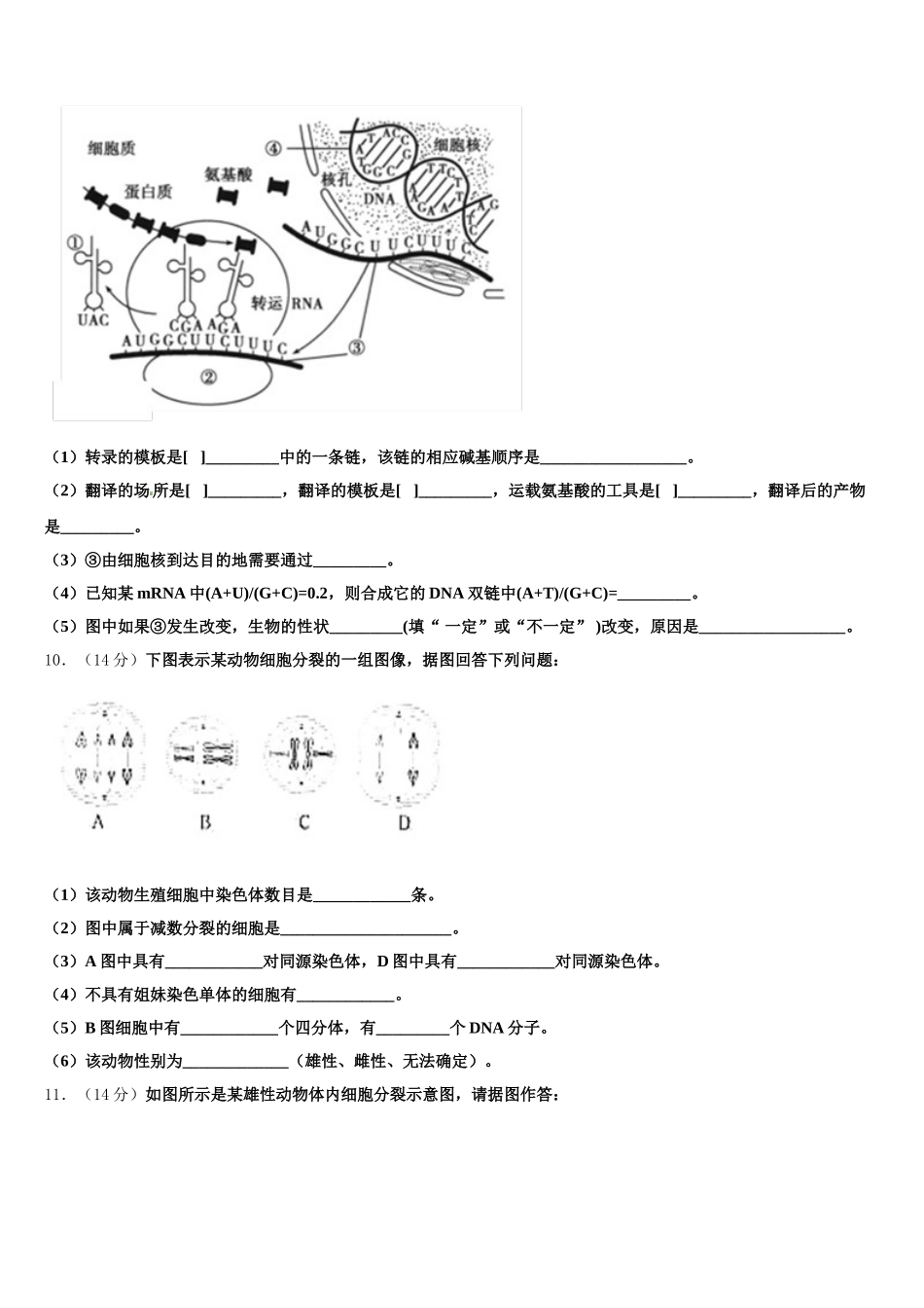 2025届四川资阳中学生物高一下期末调研试题含解析_第3页