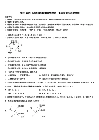 2025年四川省眉山车城中学生物高一下期末达标测试试题含解析