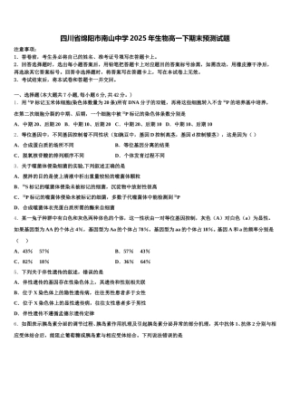 四川省绵阳市南山中学2025年生物高一下期末预测试题含解析