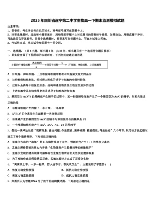 2025年四川省遂宁第二中学生物高一下期末监测模拟试题含解析