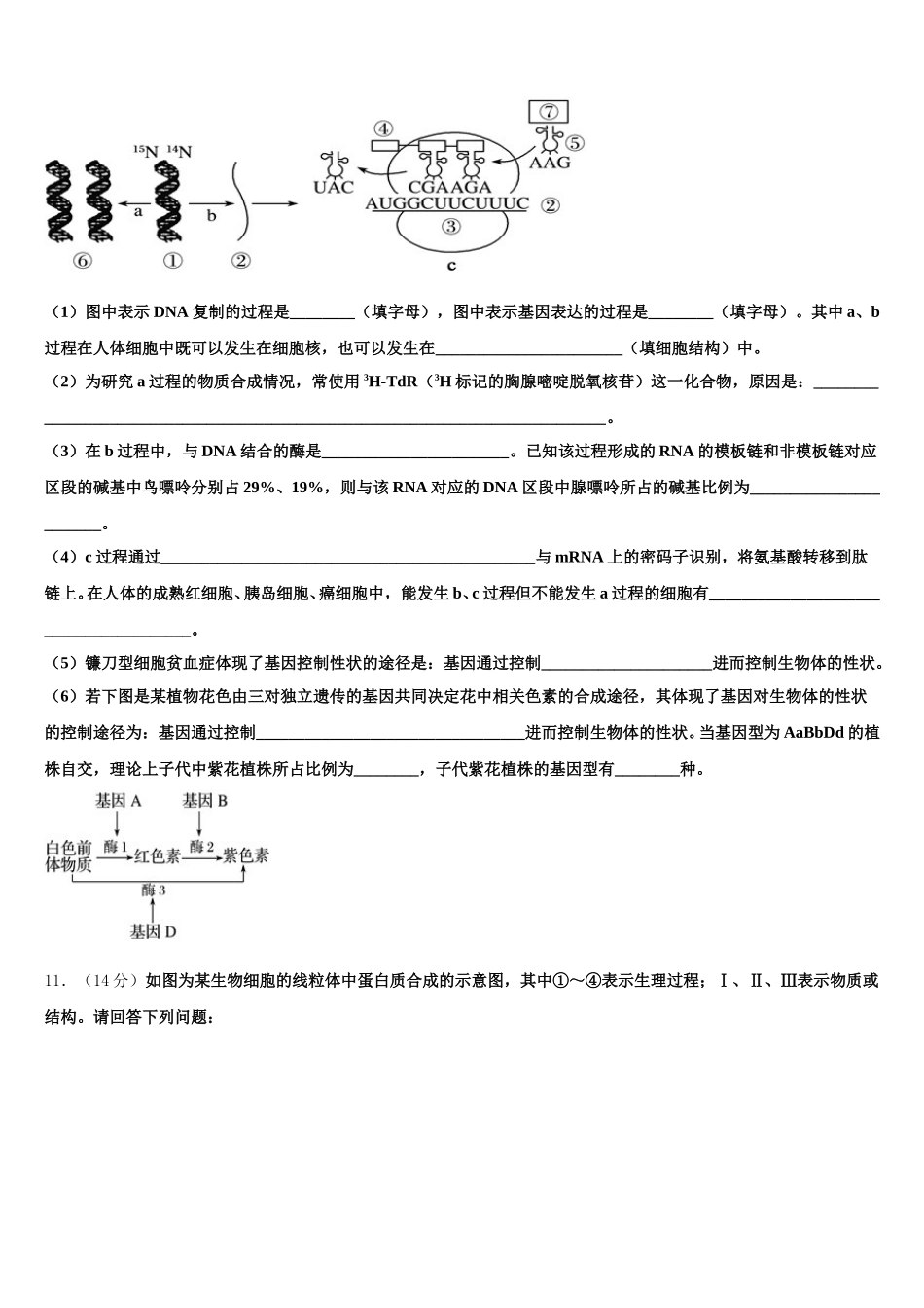 2025年四川成都青羊区外国语学校高一生物第二学期期末达标测试试题含解析_第3页