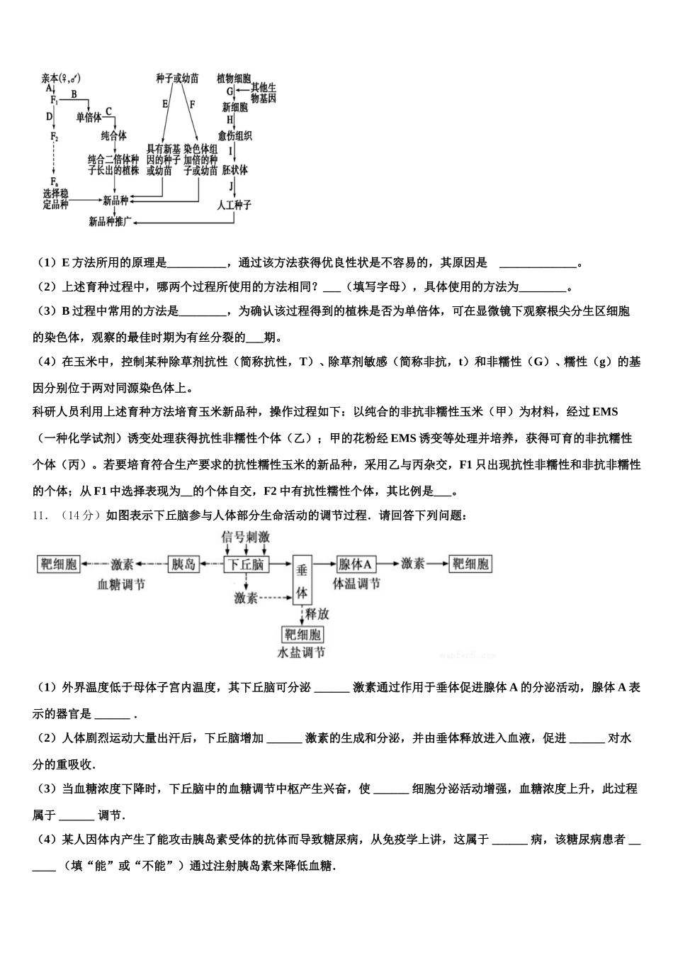 2025年四川省德阳市罗江中学生物高一下期末学业质量监测试题含解析_第3页