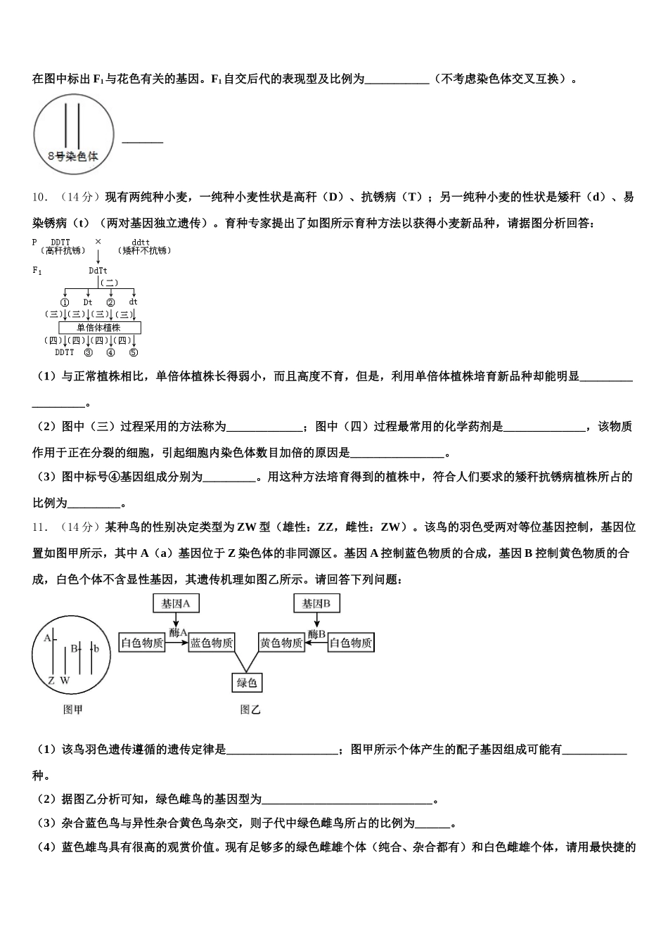 2025届四川省绵阳中学资阳育才学校生物高一第二学期期末教学质量检测试题含解析_第3页