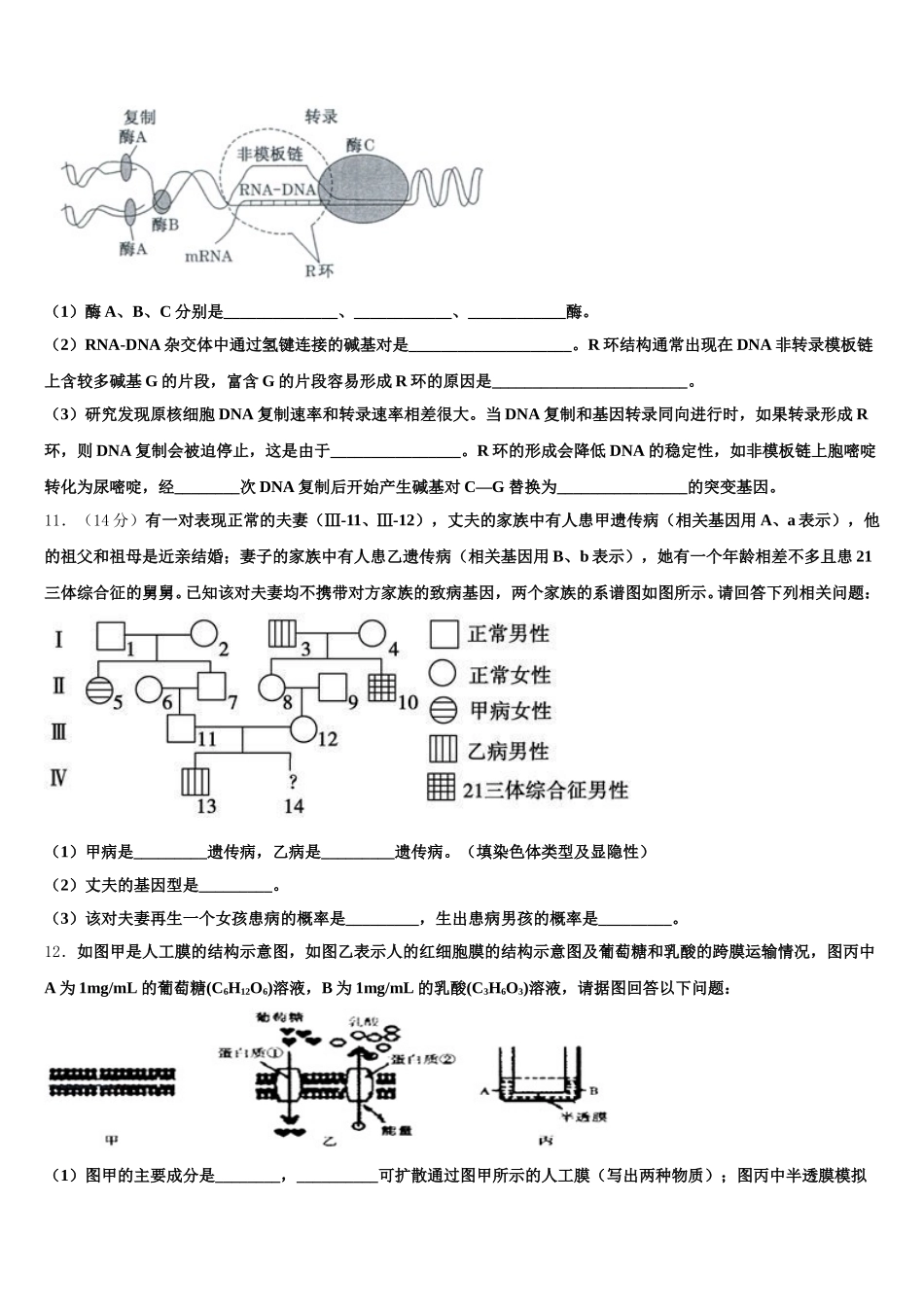 成都实验高级中学2025年生物高一下期末综合测试试题含解析_第3页