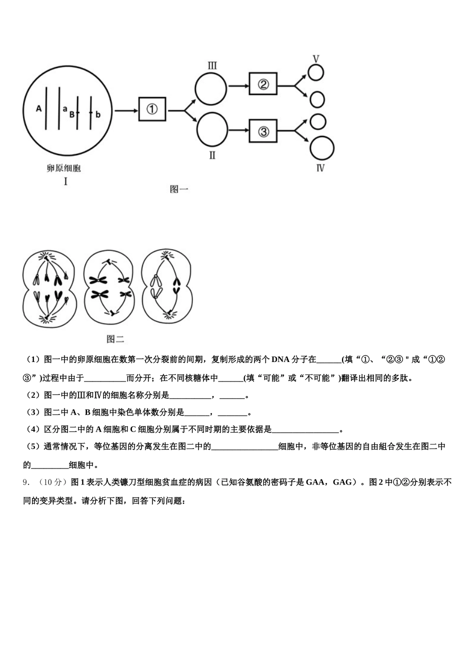 2024-2025学年四川省泸州市泸县五中生物高一第二学期期末考试模拟试题含解析_第3页