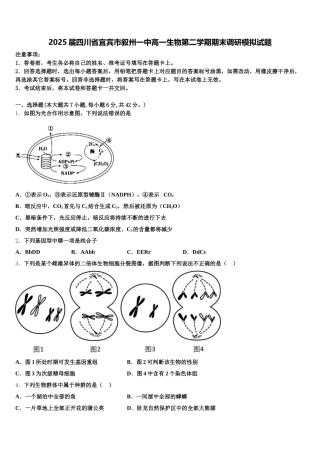 2025届四川省宜宾市叙州一中高一生物第二学期期末调研模拟试题含解析