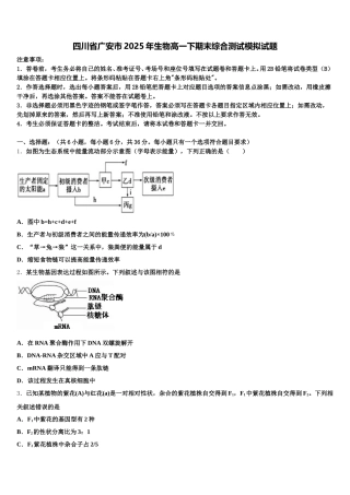 四川省广安市2025年生物高一下期末综合测试模拟试题含解析