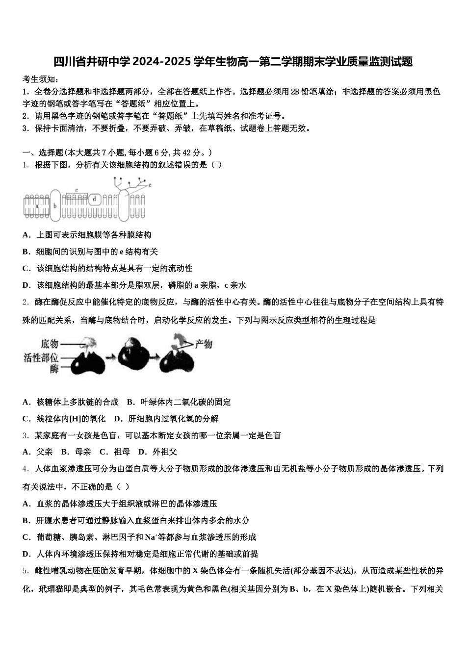 四川省井研中学2024-2025学年生物高一第二学期期末学业质量监测试题含解析_第1页