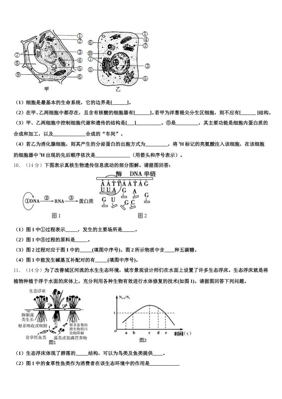 2025年四川省成都市双流中学高一生物第二学期期末考试试题含解析_第3页
